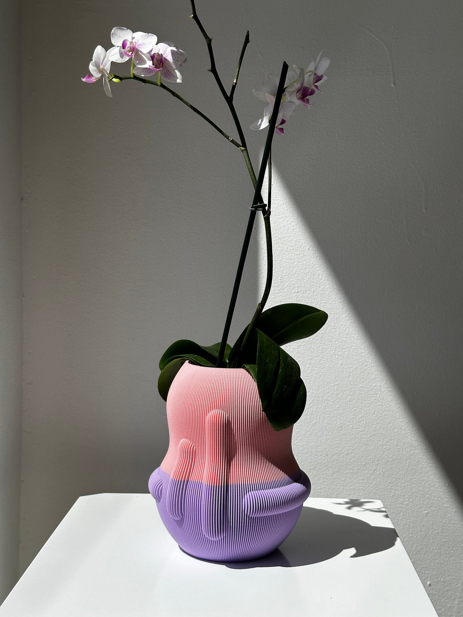 EGGPLANT VASE