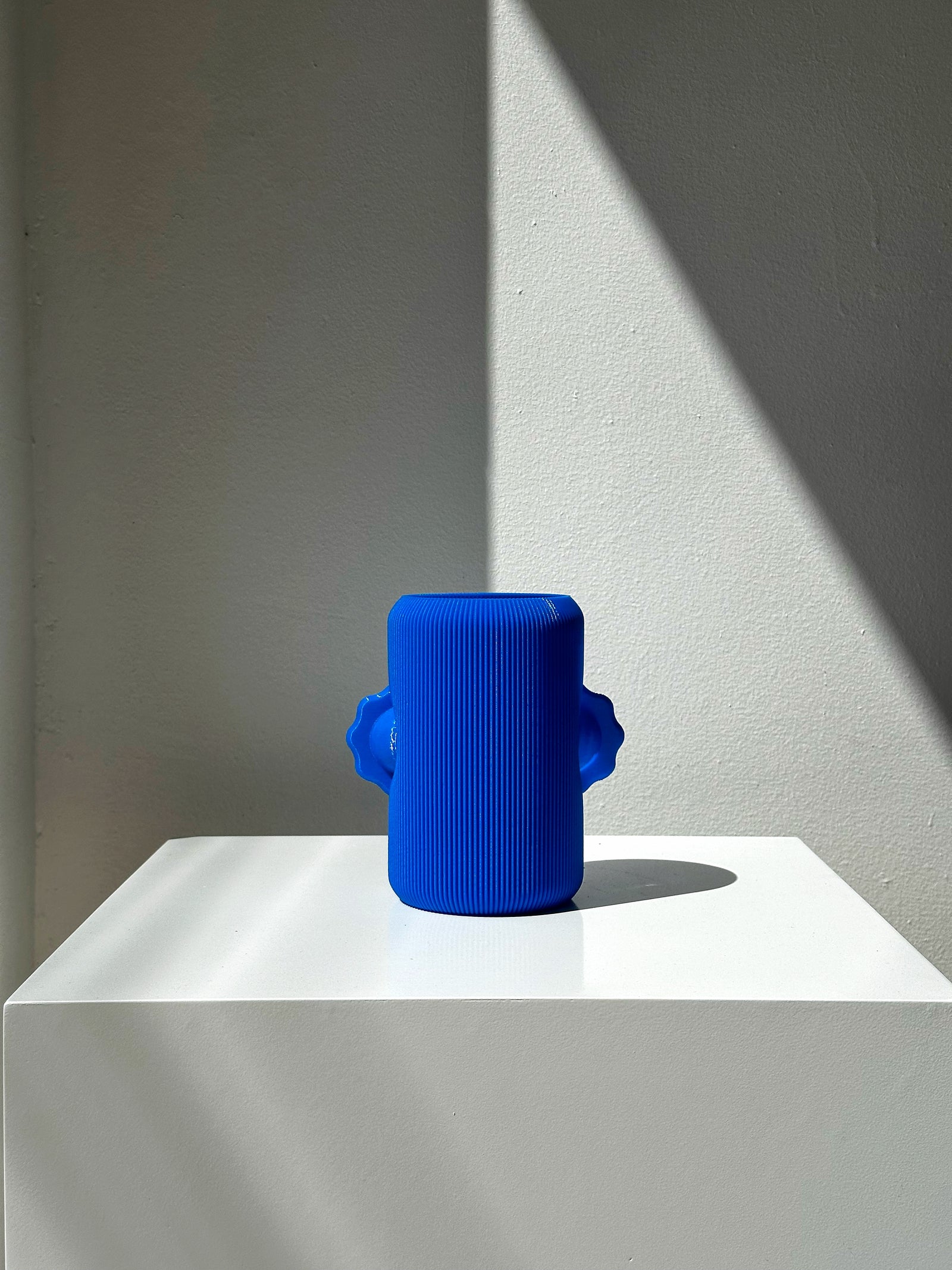 S VASE 09 de UAU Project